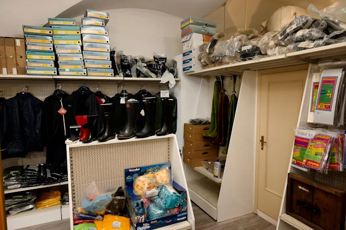 vendita articoli di falegnameria a Bologna